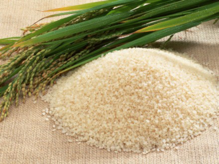 Gạo không cần nấu, ngâm nước là thành cơm