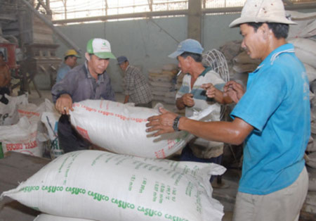 Không đồng ý xuất khẩu thêm 500.000 tấn gạo