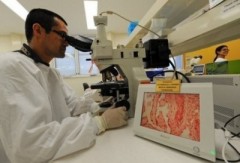 “Siêu vi khuẩn” xuất hiện tại Úc