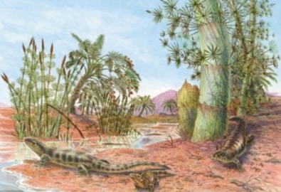 Tìm thấy dấu chân loài bò sát 380 triệu năm trước