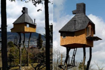 Những ngôi nhà tổ chim 'đẹp tuyệt vời' ở Nhật