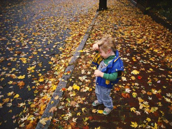 Gió thu, lá thu ở “thành phố rừng nhiệt đới”, Portland ở Maine. Ở Portland có khoảng 20.000 nghìn cây phong, sồi cùng các loại cây khác. Ảnh: National Geographic.