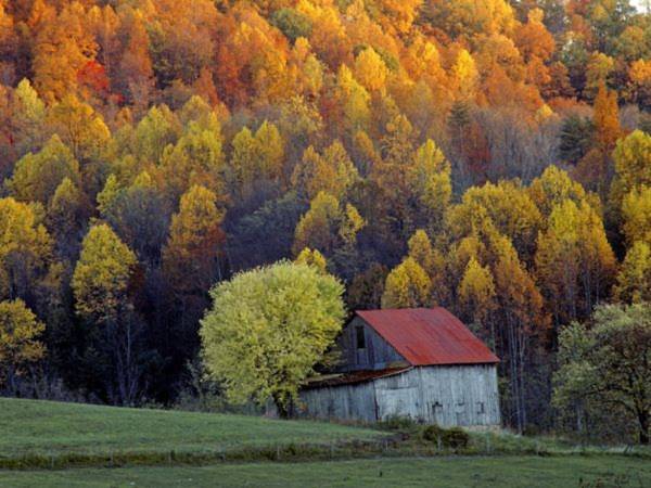 Thung lũng Shenandoah ở Virginia. Ảnh: National Geographic.