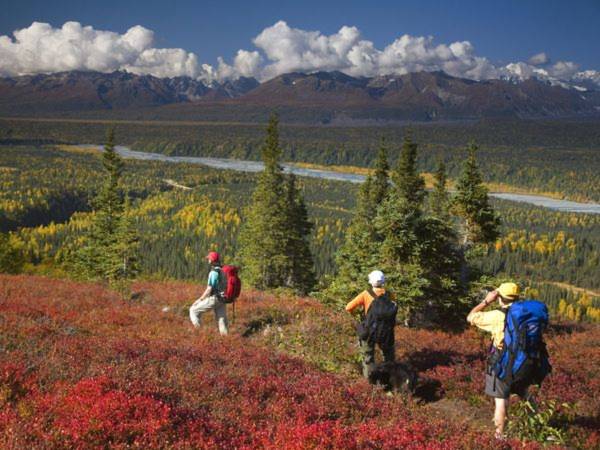 Công viên Denali State, Alaska. Ảnh: National Geographic.