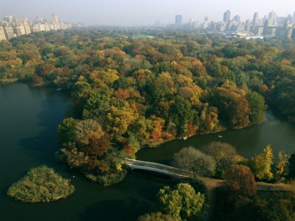 Công viên Trung tâm, New York. Ảnh: National Geographic.