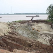 Bờ đê sông Hồng bị sạt lở nghiêm trọng