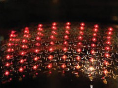 Hình ảnh một dãy LED do nhóm nghiên cứu của Rogers chế tạo - Ảnh: Physorg