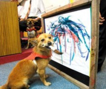 Chú chó Hữu Tiền đang thể hiện tài nghệ vẽ tranh.