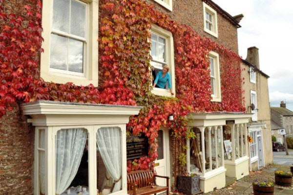Lá cây dây leo đã chuyển sang màu đỏ trước một tòa nhà ở vùng North Yorkshire. Lá cây dây leo đã chuyển sang màu đỏ trước một tòa nhà ở vùng North Yorkshire.
