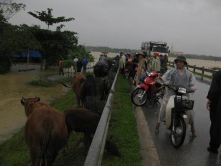 Hà Tĩnh lại chới với trong cơn lũ lịch sử