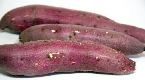 images1