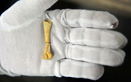 Phát hiện xương người 67.000 năm tuổi, Phi thường - kỳ quặc, Philippines, Giáo sư Armand Mijares, bí ẩn, chuyện lạ, xương người, 67.000 năm tuổi, khảo cổ, niên đại
