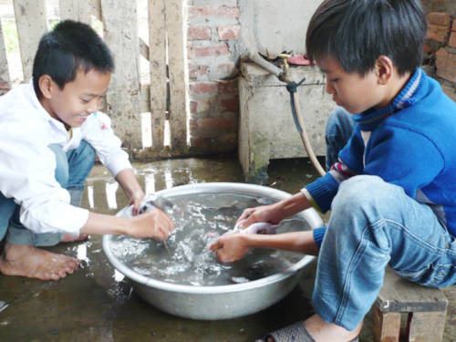 Chuyện về làng thịt chuột Canh Nậu