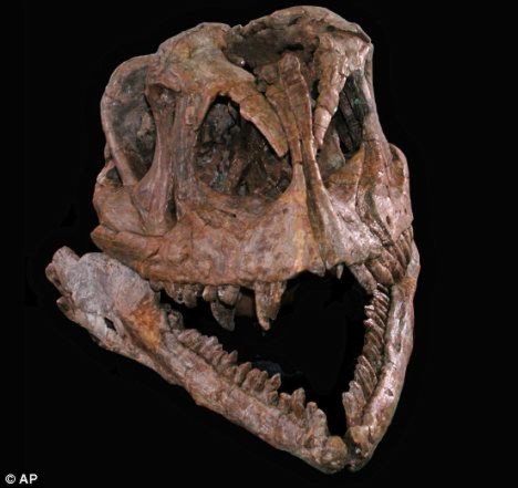 Tìm ra tổ tiên khủng long ăn cỏ khổng lồ « Tin Đa Chiều