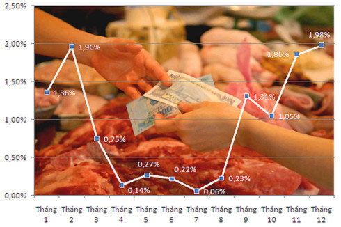 Diễn biến lạm phát trong năm 2010. Số liệu: GSO