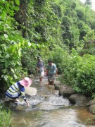 Lên cao nguyên ăn rau rừng, cá suối