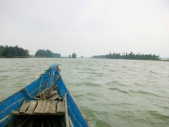 Một thoáng trên con sông quê của nhà thơ Tế Hanh