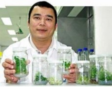 Nhà khoa học Việt ở Australia tạo bước đột phá sinh học