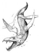 Tái tạo hình ảnh quái vật biển Pliosaur