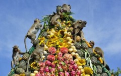 Thái Lan mở tiệc thết đãi khỉ