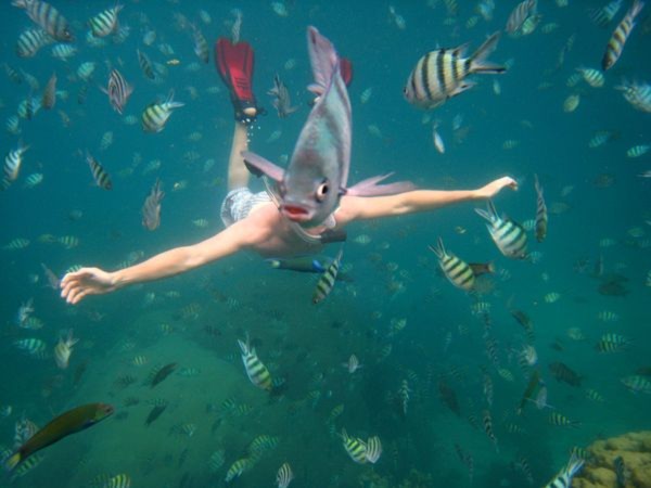 Hình ảnh độc đáo này được lại dưới vùng biển ở Koh Tao, Thái Lan. Thoạt nhìn bức ảnh này, nhiều người tưởng đây là một sinh vật thân người đầu cá. Ảnh: Nick Kelly.