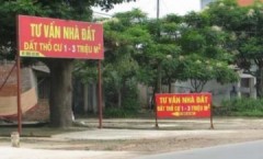 'Văn hóa' hối lộ trong đất đai đã trở nên quen thuộc