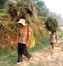 Học sinh bỏ lớp đi làm thuê kiếm tiền sau Tết