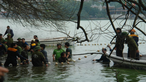 20 chiến sĩ đặc công tham gia bắt Rùa Hồ Gươm