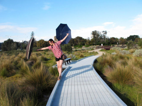 Sự tinh nghịch bên cảnh thiên nhiên “cổ tích” của biển Melbourne.