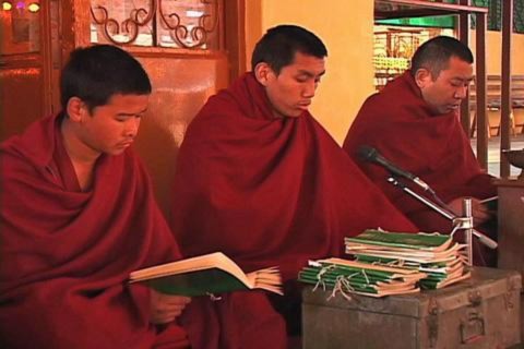 Các vị tăng sĩ Tây Tạng sống lưu vong