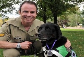 Chú chó được tặng huy chương dũng cảm