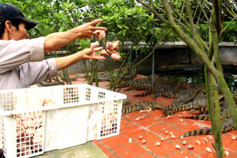 Không chỉ làm giàu cho mình, Hiển