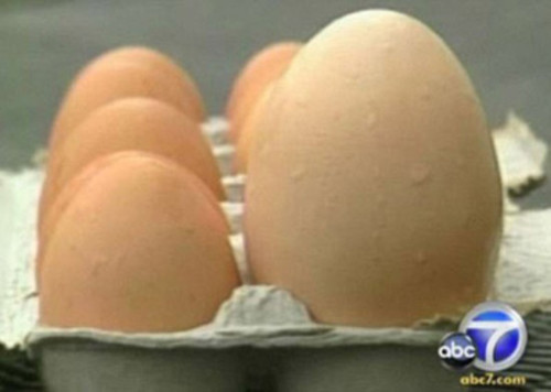 Những quả trứng 