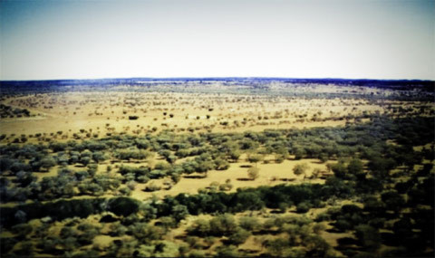 Máy bay hạ cánh, ngút ngàn là Great Victoria desert hoang vu hẻo lánh. Tôi sống ở đây 4 ngày trong chương trình tình nguyện kết nối hữu nghị giữa người da trắng và người da đỏ. Tôi là thành viên” da vàng” duy nhất trong chuyến đi . Chương trình do tổ chức tình nguyện viên Australia kết hợp với trường Đại Học Curtin.