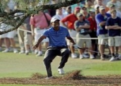Tiger Woods tạm nghỉ đấu vì chấn thương
