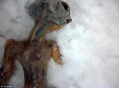Tìm thấy xác người ngoài hành tinh ở Nga?