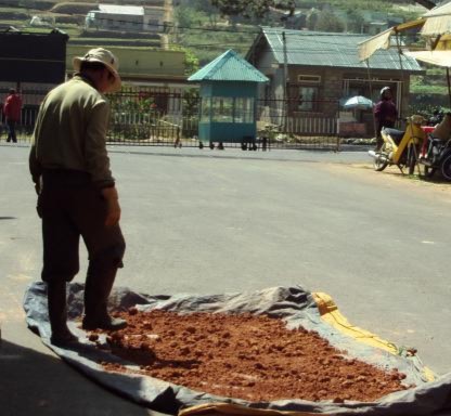 Bất lực trước khoai tây, dâu tây “giả” của Trung Quốc