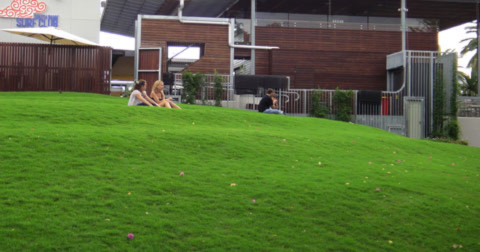 9. Đồi cỏ xanh ngát ở khu vực Southbank Parklands.