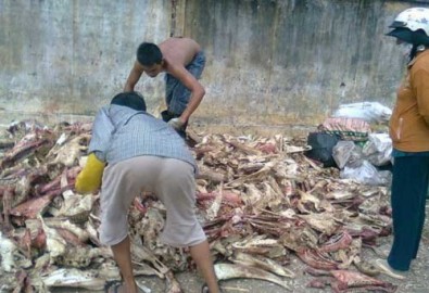 Hãi hùng làng "thối"