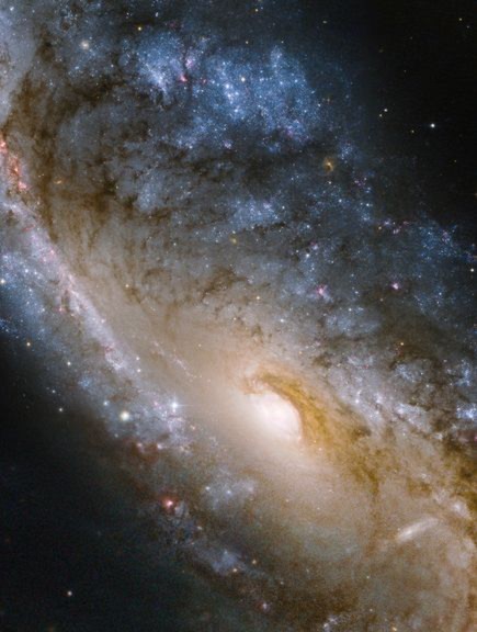 Hình ảnh mới nhất của thiên hà NGC 2442 vừa được ghi lại bởi kính thiên văn vũ trụ Hubble của NASA. Thiên hà NGC 2442, nằm trong chòm sao Volans, có hình xoáy chân ốc ở giữa trông như tâm của một cơ bão nhiệt đới trên biển.