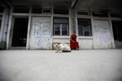 Sư Tây Tạng ngồi suy tư bên chú mèo