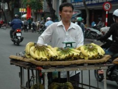 Trái non “ngậm” thuốc là chín