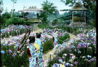 Bộ sưu tập hình ảnh “cực độc” về Nhật Bản xưa (Phần 1)