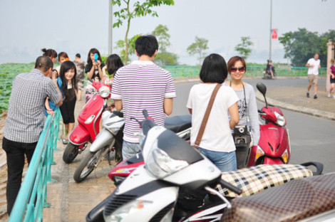Môi đỏ, má hồng và vẻ đẹp thánh khiết của sen Hồ Tây