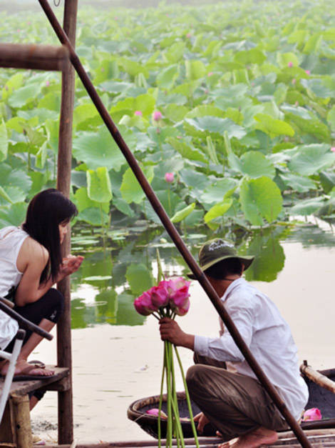 Môi đỏ, má hồng và vẻ đẹp thánh khiết của sen Hồ Tây