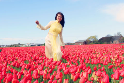 Cô gái Việt giữa rừng hoa tulip.