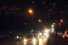 2013020013