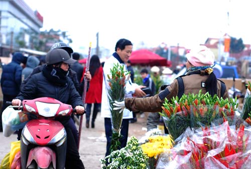 Miền Bắc rét đậm dịp nghỉ Tết Quý Tỵ