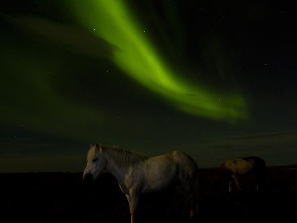 Cực quang tạo thành một vệt sáng ma quái phía trên những chú ngựa ở phía Bắc Iceland trong bức ảnh chụp ảnh 18/2. Được đặt tên theo Nữ thần Rạng Đông của La Mã Eos, những chùm sáng chói lọi từ cực quan là kết quả của sự va chạm giữa các hạt tích điện thoát ra khỏi bầu khí quyển của mặt trời và các hạt khí trong bầu khí quyển của Trái đất.