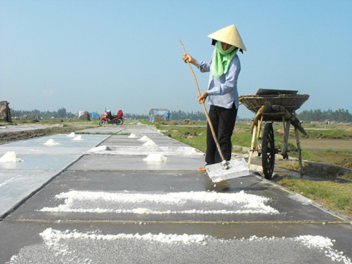 Việt Nam đang thừa muối chất lượng thấp, thiếu muối chất lượng cao